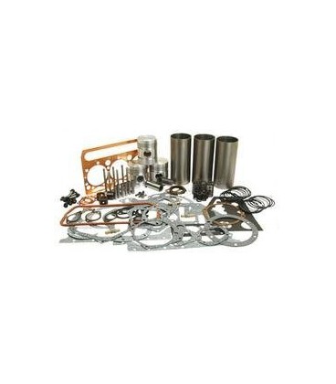 KIT REPARATION MOTEUR COMPLET AVEC SOUPAPES ADAPTABLE FORD DEXTA