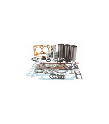 KIT REPARATION MOTEUR JOHN DEERE 3.164D ADAPTABLE SUR TRACTEURS SERIES 20 ET 30