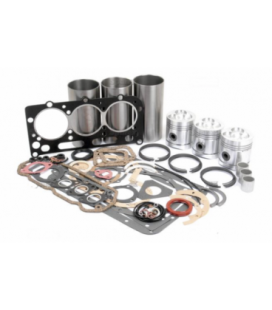 KIT REPARATION MOTEUR AD3.55 DAVID BROWN 