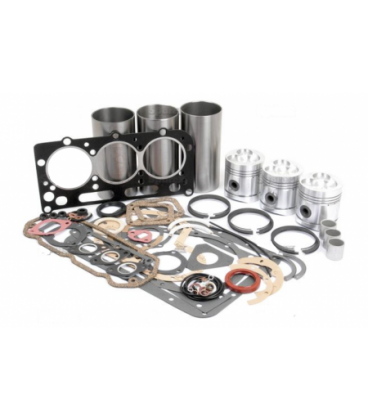 KIT REPARATION MOTEUR AD3.55 DAVID BROWN 