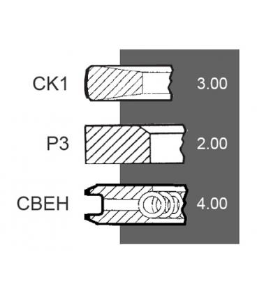 JEU DE 3 SEGMENTS ADAPTABLE RENAULT MWM 7701032469