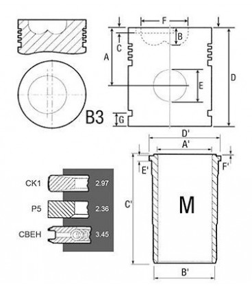 KIT CHEMISE PISTON SEGMENTS ADAPTABLE RENAULT CLAAS 6005012804