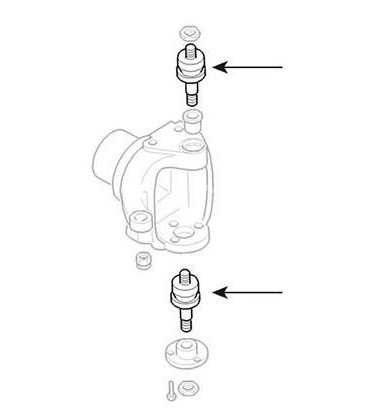 ROTULE DE PIVOT DE PONT AVANT ADAPTABLE RENAULT CLAAS CASE IH NEW HOLLAND 406724A1 6000104482 CI139871 133741717