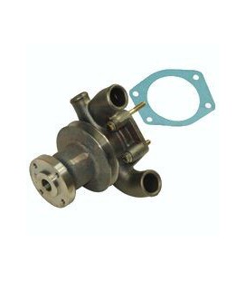 POMPE A EAU AVEC POULIE ADAPTABLE MASSEY FERGUSON ET LANDINI 3641338M1 3641823M91 41312154 41312159 41312416 747542M91 U5MW0023