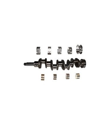 VILEBREQUIN COMPLET 751303R91 MOTEUR BD154 BD144