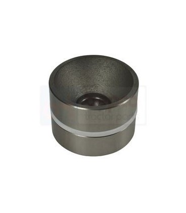 PISTON DE RELEVAGE COMPLET ADAPTABLE MASSEY FERGUSON 1693921M93